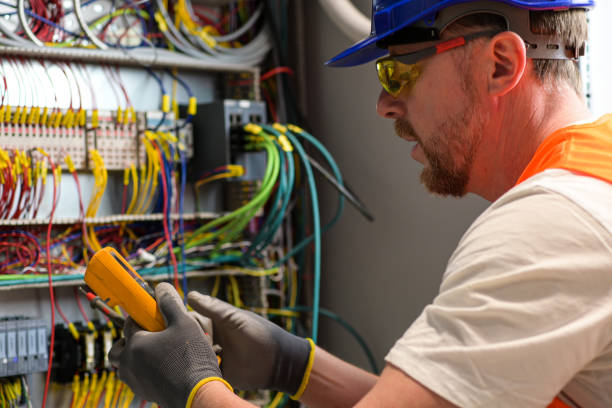 Best Electric Panel Repair  in Denham Springs, LA